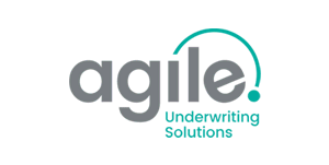 insurance agile amc